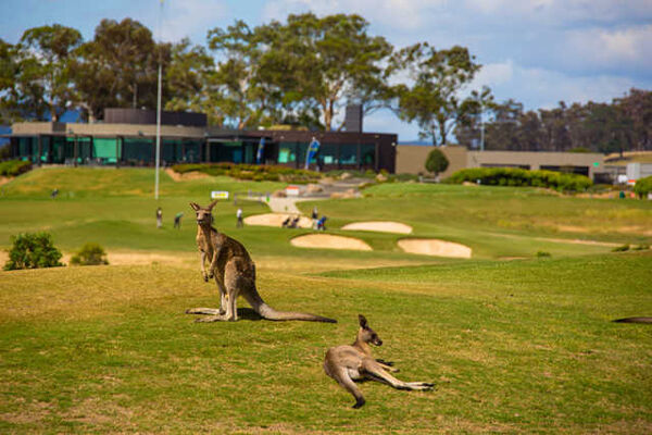 The Growling Frog Golf Course + Restaurant